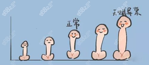 国内男士埋珠入珠手术医院排名榜