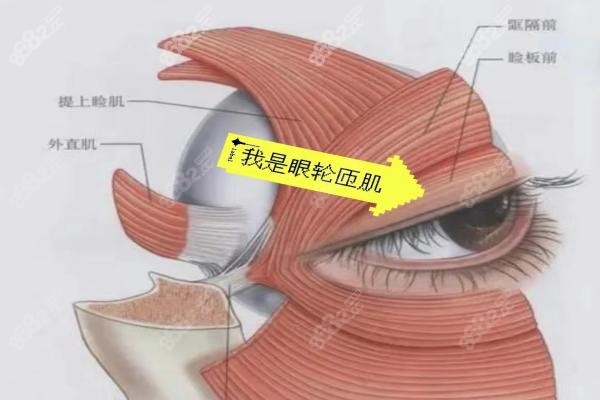 郑州东方整形医院做双眼皮医生团队