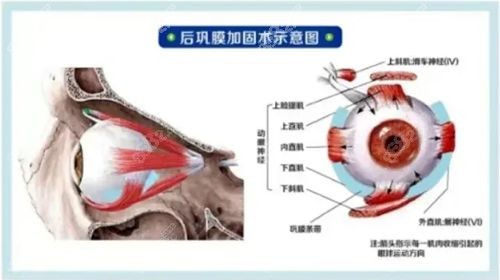 2025段安丽在北京华德眼科出诊,推荐电话预约比好大夫在线快