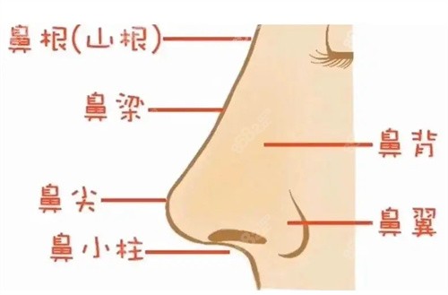 武漢玻尿酸隆鼻