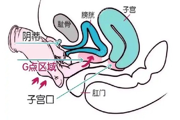 成都棕南医院私密八爪鱼好不