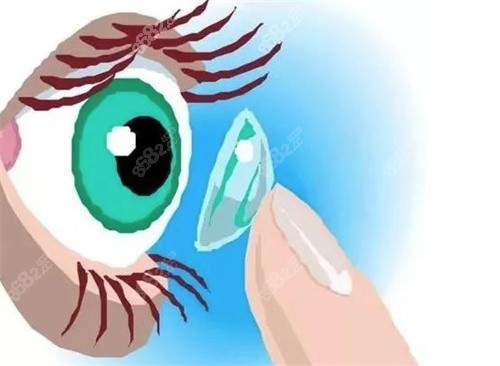 ok镜品牌哪个性价比高