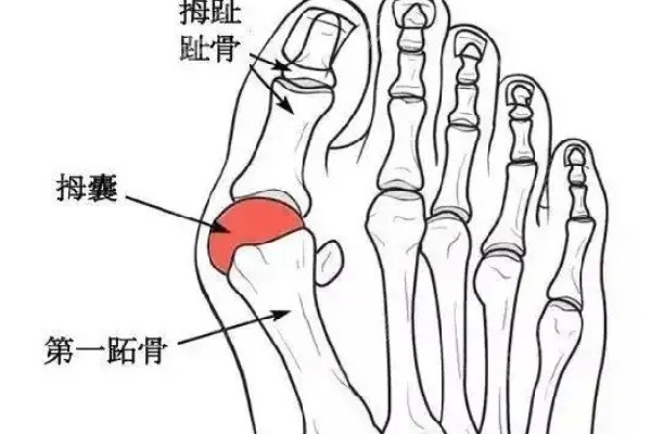 马桂文医生和苏敬达谁做的好技术PK