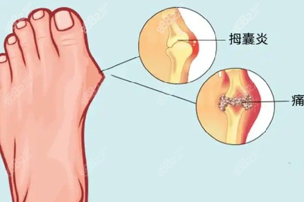 马桂文医生和苏静达北京坐诊信息全解析