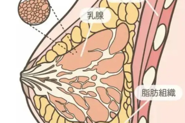 董磊医生做的隆胸口碑真的爆棚！病例说法92%满意度的秘密