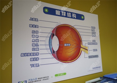 鸡西爱尔眼科医院价格表