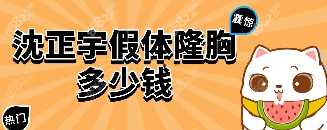 沈正宇假体隆胸多少钱
