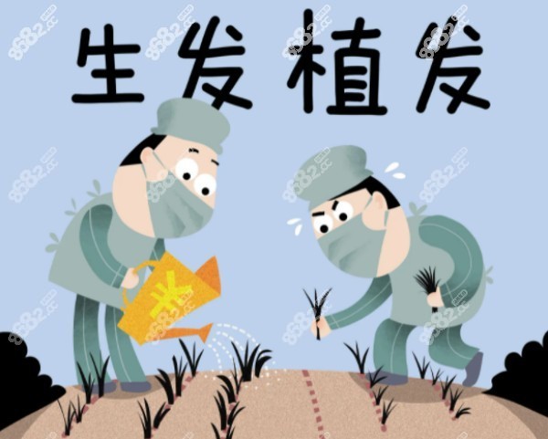 广州发际线植发需要多少钱