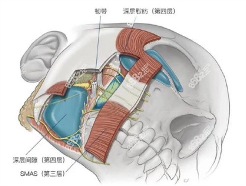 <!--<i data=20240705-sp></i>-->拉皮手术做的好不好？