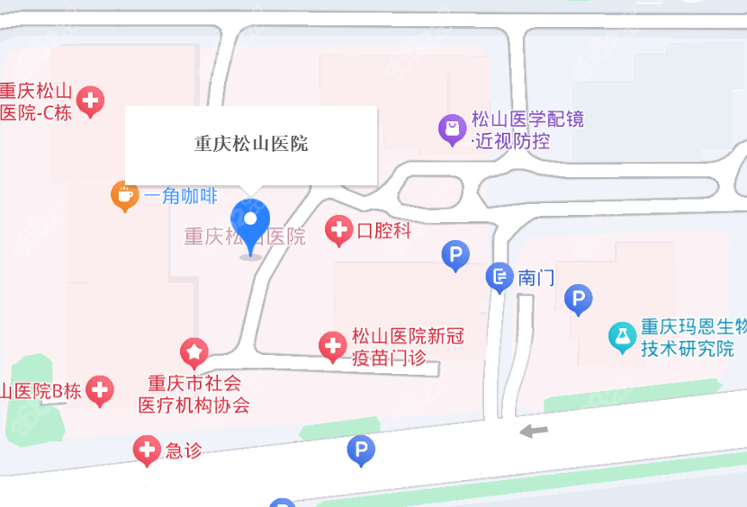 重庆松山医院地址