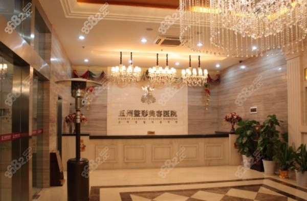 武漢五洲楊水斌做鼻子技術(shù)怎么樣