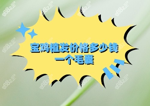 宝鸡植发价格多少钱一个毛囊？