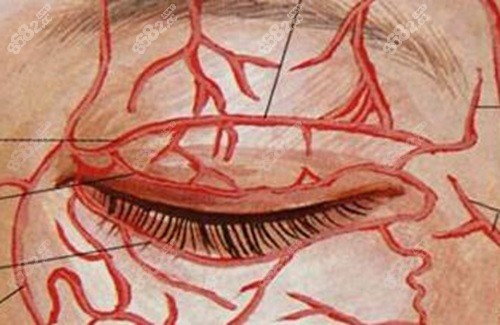 刘志刚眼修复失败例子为0