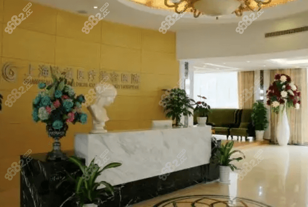上海華美謝衛(wèi)國醫(yī)生擅長項目解析