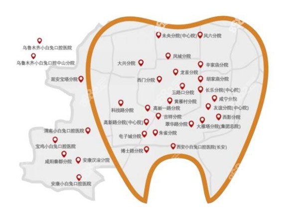 西安小白兔口腔区域
