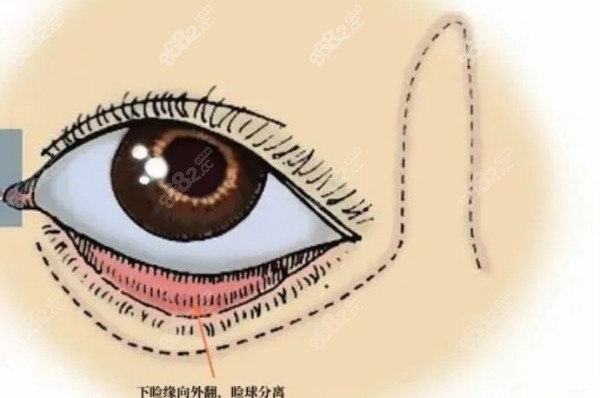 刘辅荣医生在哪家医院坐诊