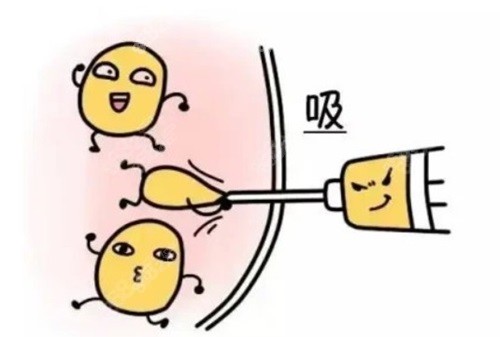 杭州天鑫胡柏的口碑與評價