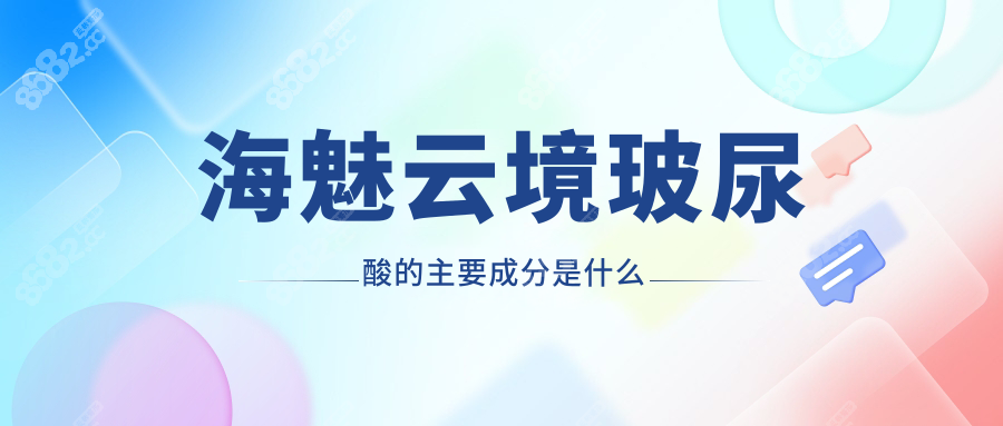 海魅云境玻尿酸的主要成分是什么