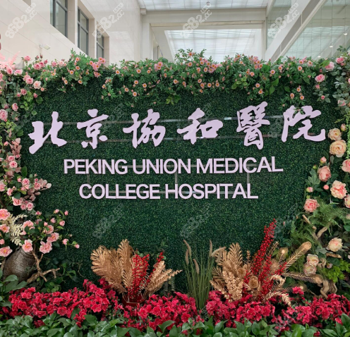 脂肪整形医生王阳做毁容例子是谣言