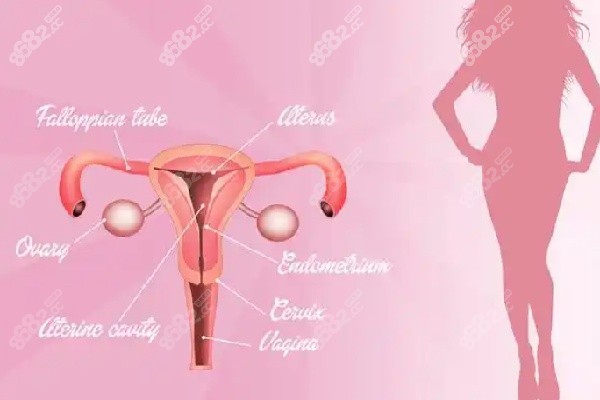 成都打緊縮針醫(yī)院的項目優(yōu)勢及醫(yī)生介紹