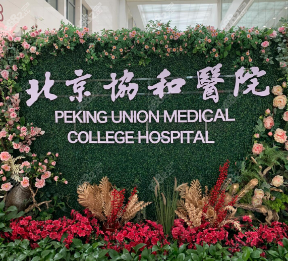 脂肪整形王阳小助理:协和博士3大核心科技,3天极速预约攻略
