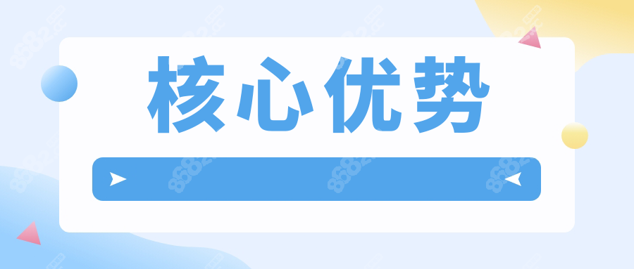 核心优势