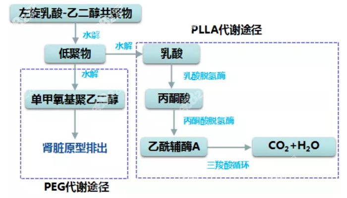 濡白天使针隆鼻优缺点