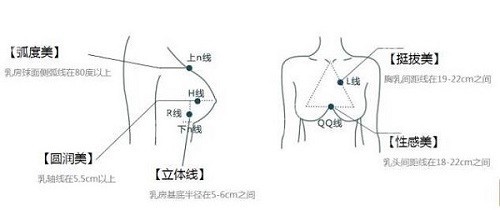 上海华美谢卫国隆胸美学设计标准