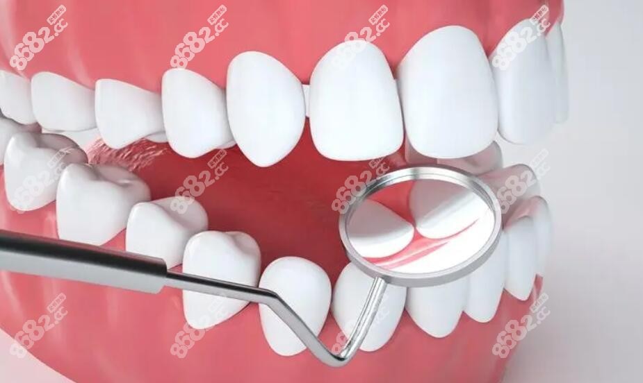 想看牙的看过来www.8682.cc