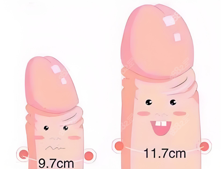 增长增粗实例www.8682.cc