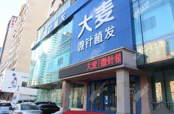 沈阳大麦微针植发地址在哪里