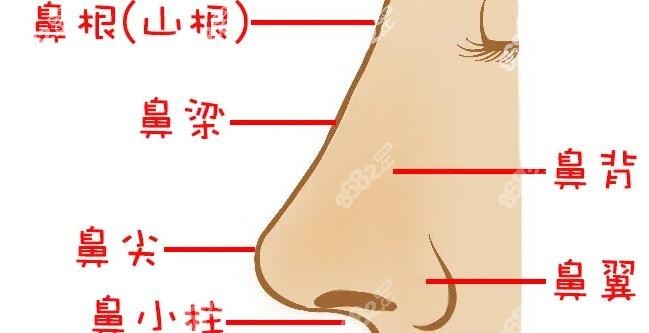 薛提朋做鼻子口碑点评