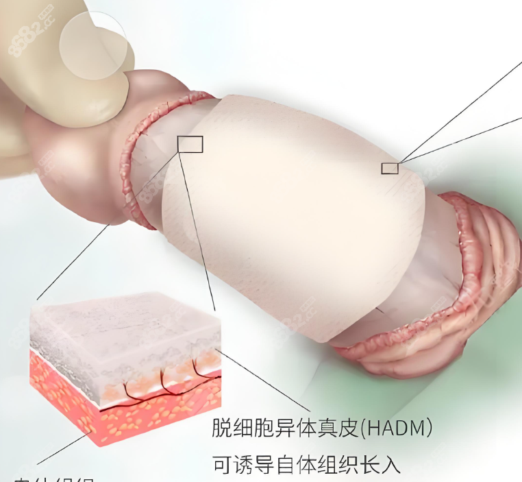 李世荣靠谱吗