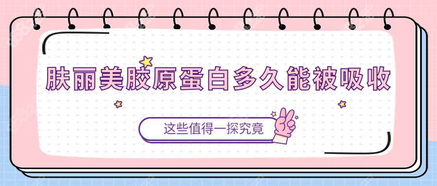 肤丽美胶原蛋白多久能被吸收