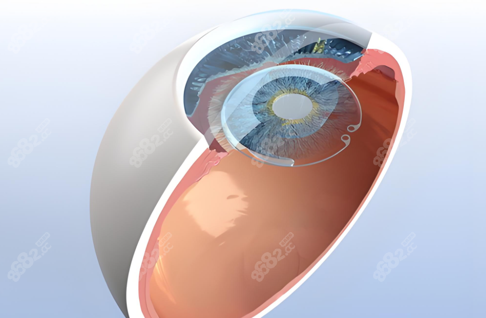 眼病診療www.sorencai.cn 眼病診療www.sorencai.cn