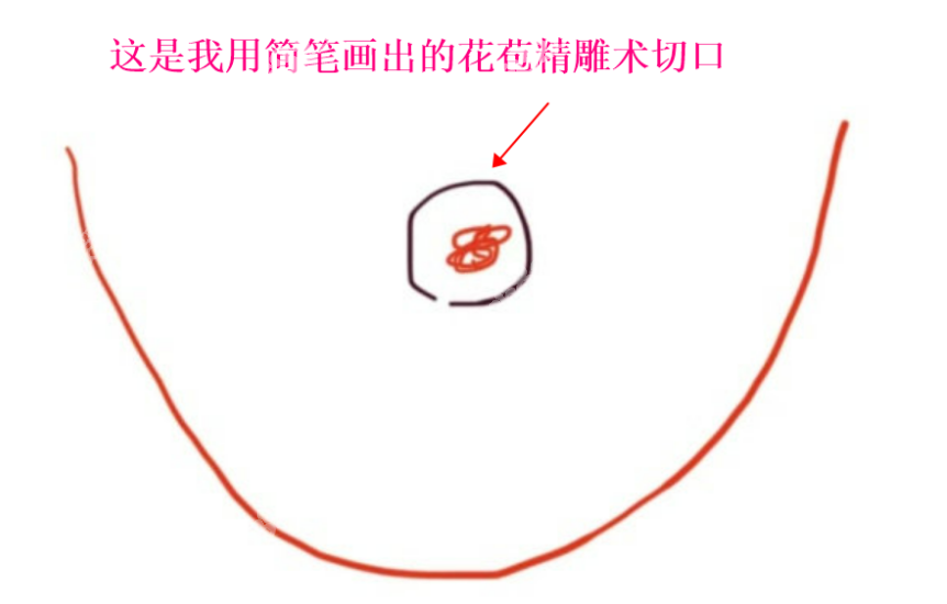 花苞精 雕術(shù)，花了6萬元