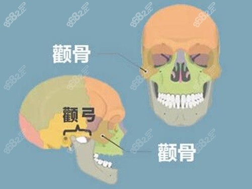 重庆肖林和朱乐林哪个好？