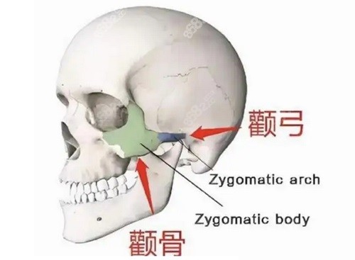 重庆松山肖林做正颌预约指南