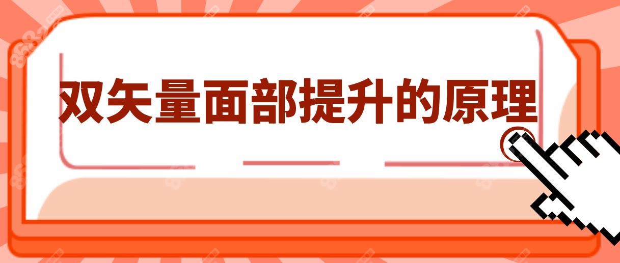 双矢量面部提升的原理