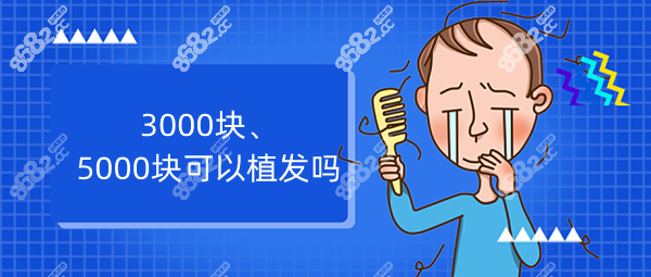 3000、5000块钱可以植发吗