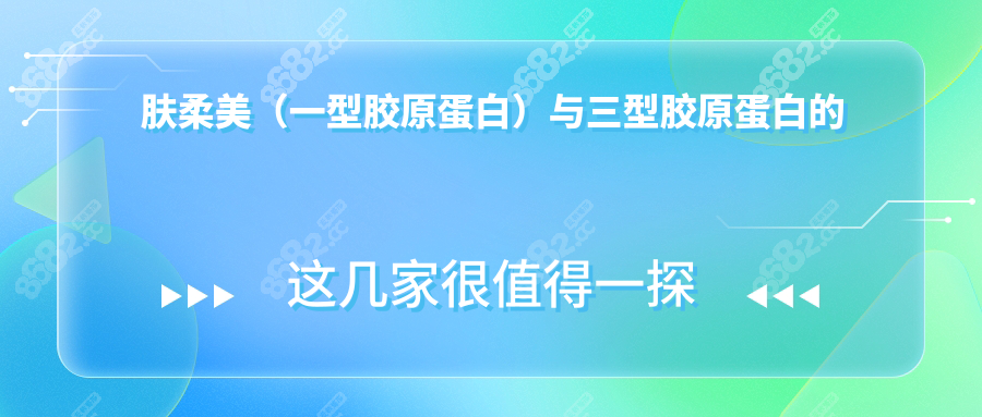 肤柔美（一型胶原蛋白）与三型胶原蛋白的综合对比