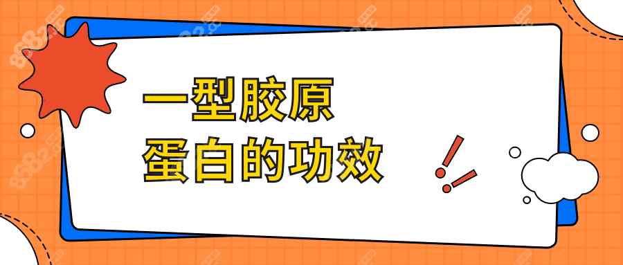 一型胶原蛋白的功效