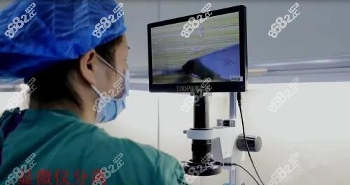 <!--<i data=20240705-sp></i>-->3d植发技术显微分离毛囊