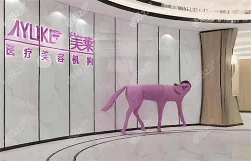 武汉美莱整形室内图
