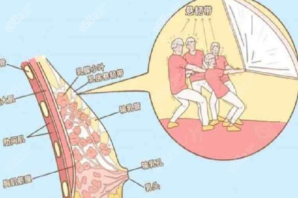 夏建军 医生的技术与资质优势