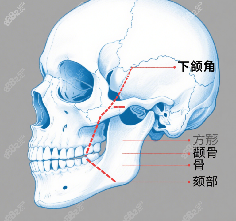 颌面整形