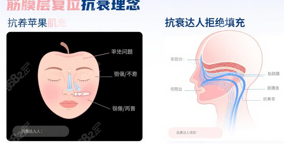 你的需求,筋膜层复位如何满足?看得见与看不见的 你的需求,筋膜层复位如何满足?看得见与看不见的