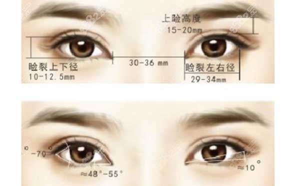 眼部整形金刀獎(jiǎng)國內(nèi)有幾人？18人名單公布含杜園園劉志剛等