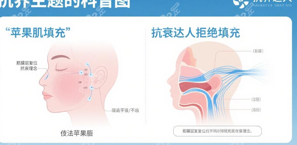 拥抱筋膜层复位:如何选择适合自己的方案 拥抱筋膜层复位:如何选择适合自己的方案