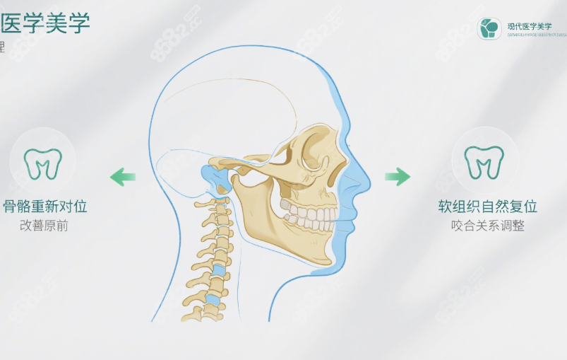 快速鎖定樸正國(guó)醫(yī)生檔期www.66ub.cn